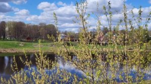 Обзорная экскурсия по городу Зубцов Тверской области