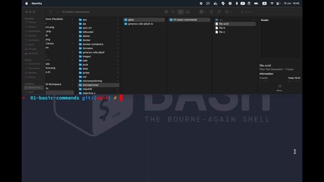 Gitea 1: Git basic commands