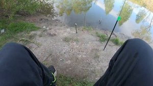 Таёжная речка, трофейный карась, трудовая рыбалка на поплавок. 05.06.2024 г.
