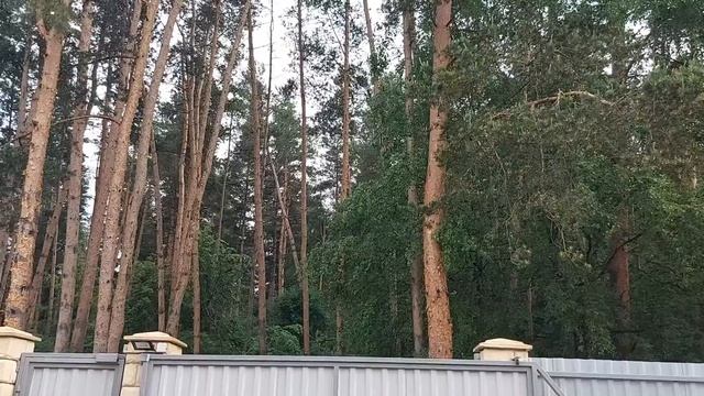 ВЕДЬМА ДАРИТ НОВУЮ ЖИЗНЬ... смотреть онлайн