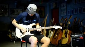 fernandes FR 55T