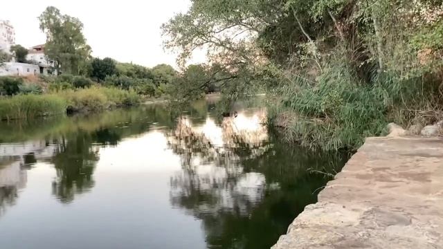 8 месяцев спустя.. Моя собака-Шепски.. Прогулка смотреть онлайн