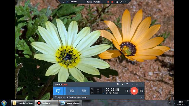 гниение в толстом кишечнике смотреть онлайн