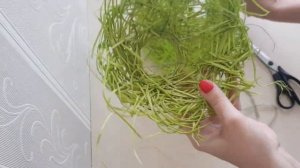 Каркас для букета. Какие каркасы я использую для создании букетов.