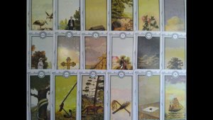 Общий расклад "Новый знакомый Что дальше?"