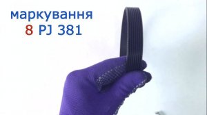 Поліклиновий ремінь PJ 381