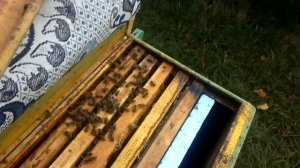 🐝КАК УТЕПЛЯЕМ СЛАБЫЕ СЕМЬИ ПЧЁЛ В ЗИМУ И ЗАЩИТА ОТ СИНИЧЕК🐝