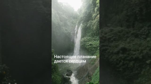 Истина.Познание.Грядущий Царь.Грядущий Правитель