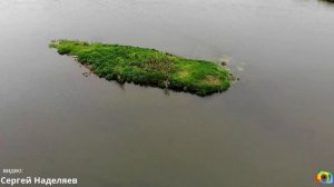 Яя - поселок мой родной!