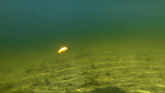 Gulp Honeyworms Berkley