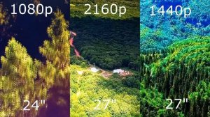 Сравнение мониторов 1080p vs 1440p vs 2160p | 60hz vs 165hz Объективный тест картинки и восприятия.