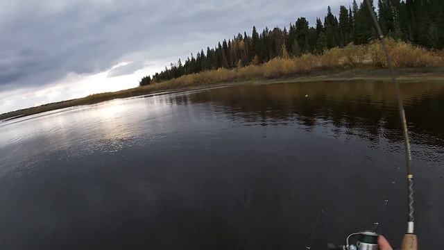 РЫБАЛКА С ВЛАДОМ \ ОКУНЬ НА БАЛАНСИР - НА СПИННИНГ - НА УДОЧКУ \ Часть 1 \ ДУШЕВНЫЕ ПОСИДЕЛКИ смотреть онлайн