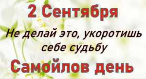 2 сентября день пророка Самуила. Что нельзя делать. Народные традиции и приметы_Розмарин