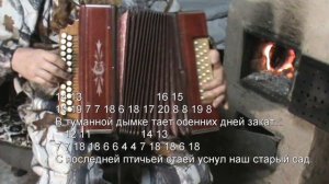 Рябиновые бусы с цифрами