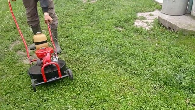 Газонокосилка в работе