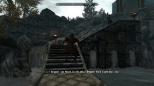 Skyrim HD Texture Pack (Graphics Improvements) - Sony Vaio E Series Gaming - ATI 5650M