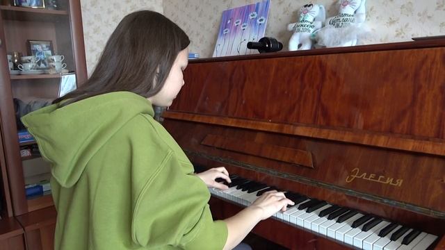 Самая многодетная приемная семья-семья Бормотовых с.Краснохолмский