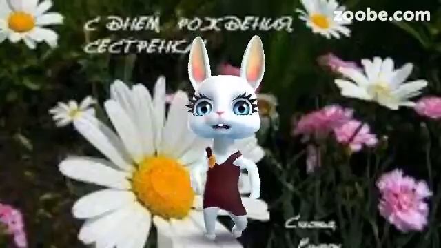 ZOOBE зайка Поздравления Алене с Днем Рождения!! смотреть онлайн