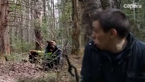 Встретил медведя в лесу, 2023