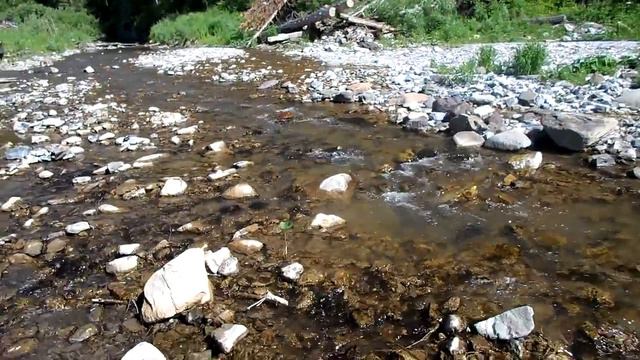 ГРЯЗНЫЙ КУНДАТ - 5 (21.06.2019 г.) смотреть онлайн