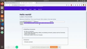 WordPress Comments Package Demo