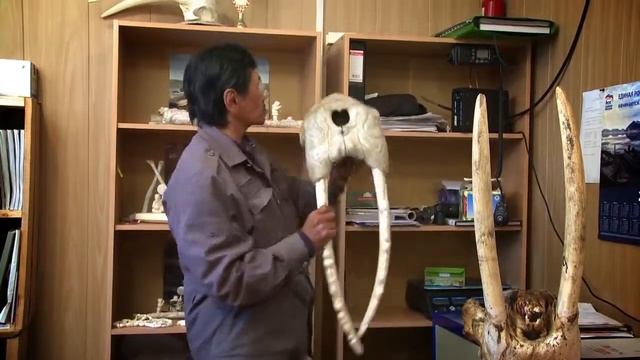 Закон выживания 19.10.2015р. смотреть онлайн