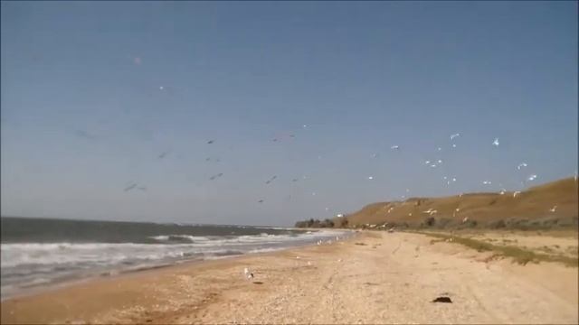 Крым.Новоотрадное.2012год.Волны и чайки.