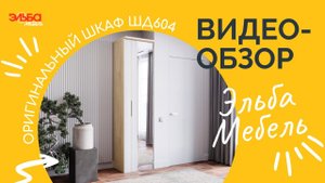 Распашной шкаф с оригинальной конструкцией ШД604. Стильный лаконичный шкаф 60 см от Эльба Мебель!