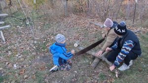 I Пилим дрова на зиму двуручной прадедовской пилой Sawing firewood  with the two-handed saw 2021102