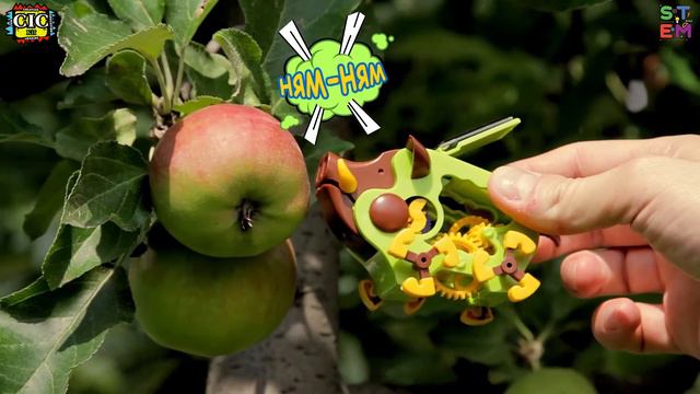 Кабанчик Санни STEM конструктор на солнечных батареях CIC 21-682 смотреть онлайн