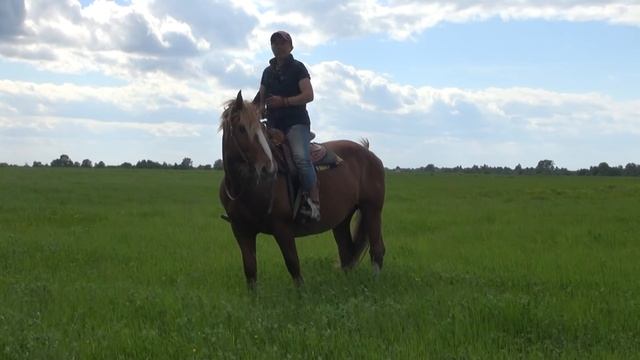 Галоп в полях. Всё о галопе. смотреть онлайн