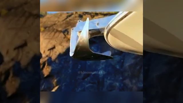 Дикая (2022) смотреть онлайн