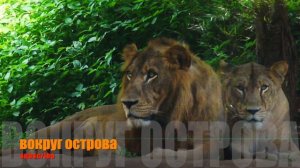 Sri Lanka  Dehiwala Zoo #Zoo #Зоопарк  Зоопарк на Шри-Ланке достопримечательность.