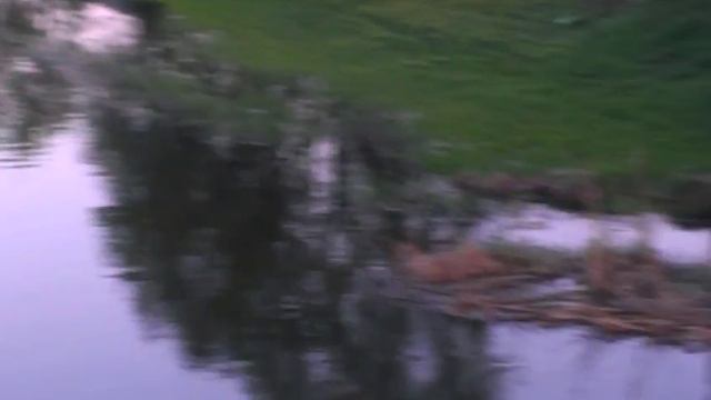 VIDEO001 Река Лопань 30.04.2018. смотреть онлайн