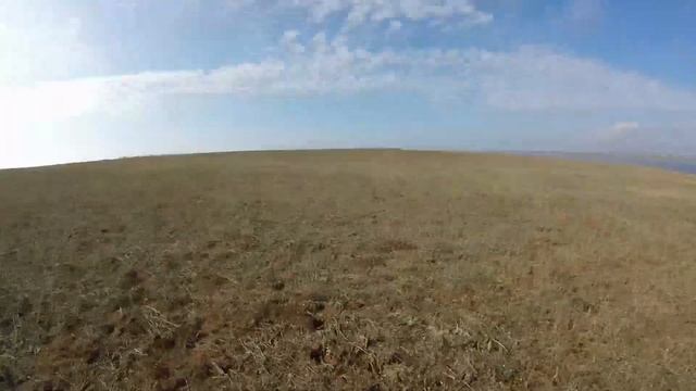 Охота на куропатку с курцхааром. Крым смотреть онлайн