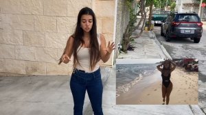 Brazilian women on dating, safety and beaches in Playa Del Carmen 2020