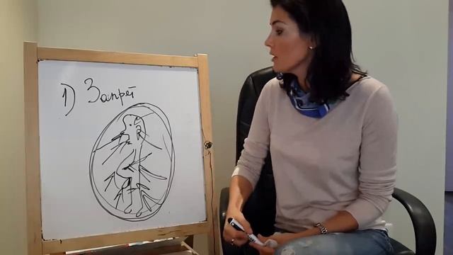 Пять правил отличного секса! смотреть онлайн