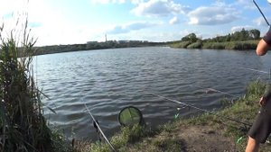 Ловля Крупного Карася  в центре Донецка