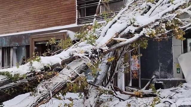 Одесса.⚓И такое по всему городу...❄️ #уЧерногоМоря ул. Канатная. 27 Ноября 2023 смотреть онлайн