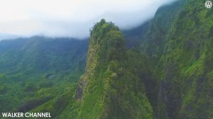 DNDM, RILTIM, ADIK, DAVIT BARQAIA, IMAZEE, ZUBI, HaUSSEIN ARBABI, MZADE, GHAMARNI, MYRIAM FARES #23