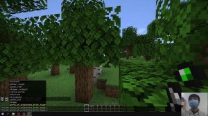 Mine and Slash Mod 1.16.5 & How To Install for Minecraft