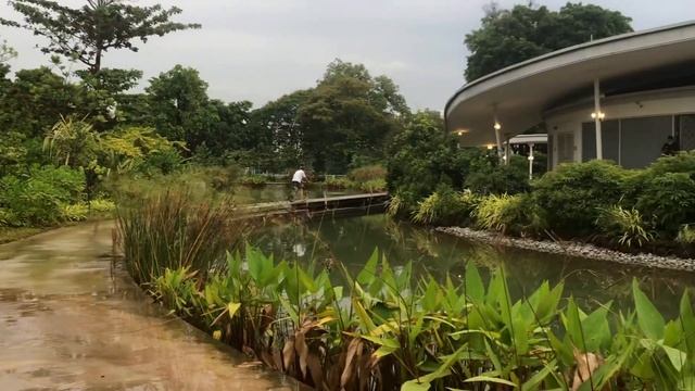 Virtual tour to singapore jurong lake gardens смотреть онлайн