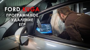 Отключение клапана EGR и сажевого фильтра Форд Куга 2