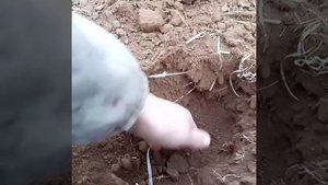 Рсм-2375 с дискатором