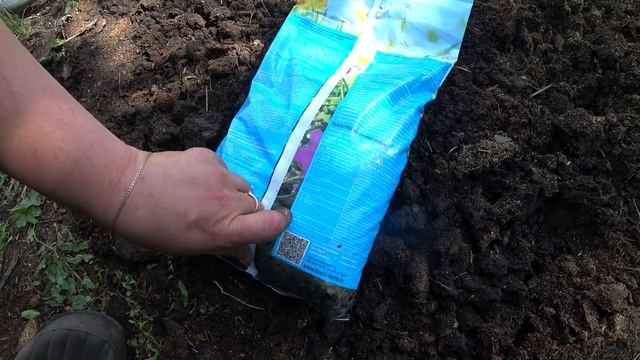 Успейте посадить эти овощи в течение последней недели июня смотреть онлайн