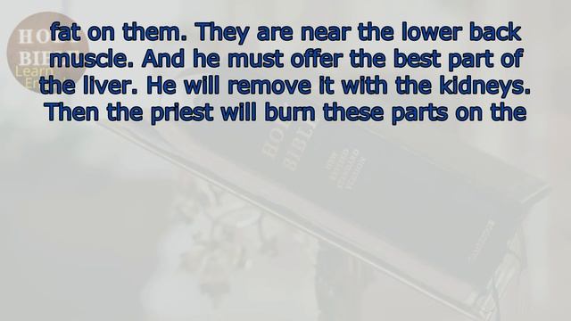 English Bible -Leviticus 1-2-3-4 - English Listening Practice \ Holy Bible. смотреть онлайн