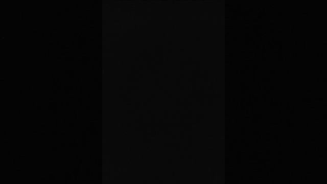 Хочу хомяков😁 канал измениться?😭 Буду снимать про животных!! смотреть онлайн