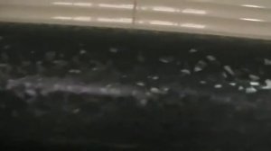 Плёнка автомобильная виниловая чёрная эффект битого стекла