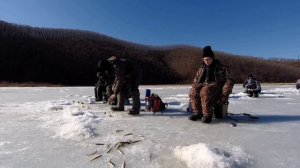 Корюшка прёт! Рыбалка на Душкинской речке. Приморье