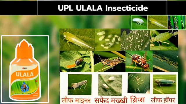 UPL ULALA | Insecticide | सबसे तेज | Flonicamid 50% Insecticide смотреть онлайн